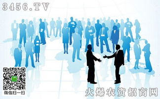 品牌整合營(yíng)銷(xiāo)策劃 你不能不知道的核心方法與實(shí)戰(zhàn)策略